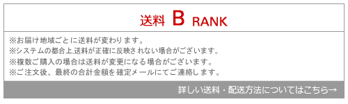 送料B