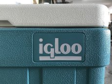 画像2: 送料無料！≪SVG≫【Cooler box（igloo） / クーラーボックス・USED・ビンテージ/1体】 (2)