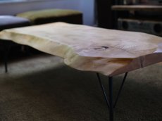 画像3: ≪SOLD OUT≫ローテーブル 無垢一枚板 トチ (栃) 鉄脚セット1400mm (3)