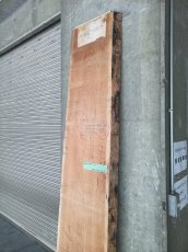 画像6: ≪未加工≫無垢一枚板 両耳 人乾材 ブラックチェリー W2545×D490~530×t55 (6)