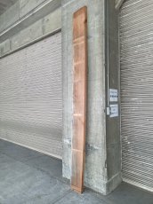画像12: ≪未加工≫無垢一枚板 片耳 人乾材 ブラックチェリー W3045×D230~285×t55 (12)