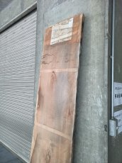 画像17: ≪未加工≫無垢一枚板 両耳 人乾材 ブラックチェリー W2255×D515~555×t55 (17)