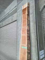 画像6: ≪未加工≫無垢一枚板 両耳 人乾材 ブラックチェリー W3335×D390~450×t55 (6)