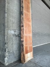 画像7: ≪未加工≫無垢一枚板 両耳 人乾材 ブラックチェリー W3335×D390~450×t55 (7)