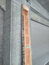 画像9: ≪未加工≫無垢一枚板 両耳 人乾材 ブラックチェリー W3335×D390~450×t55 (9)