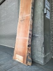 画像4: ≪未加工≫無垢一枚板 両耳 人乾材 ブラックチェリー W3035×D475~685×t55 (4)