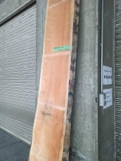 画像5: ≪未加工≫無垢一枚板 両耳 人乾材 ブラックチェリー W3035×D475~685×t55 (5)
