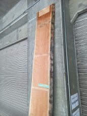画像6: ≪未加工≫無垢一枚板 両耳 人乾材 ブラックチェリー W3035×D475~685×t55 (6)