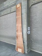 画像16: ≪未加工≫無垢一枚板 両耳 人乾材 ブラックチェリー W3035×D475~685×t55 (16)