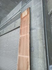 画像19: ≪未加工≫無垢一枚板 両耳 人乾材 ブラックチェリー W3035×D475~685×t55 (19)
