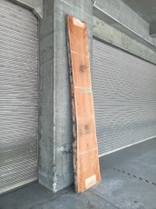 画像2: ≪未加工≫無垢一枚板 両耳 人乾材 ブラックチェリー W3090×D500~685×t55 (2)