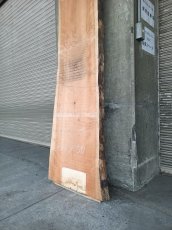 画像4: ≪未加工≫無垢一枚板 両耳 人乾材 ブラックチェリー W3090×D500~685×t55 (4)