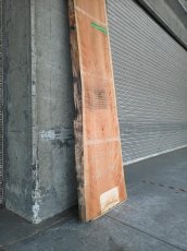 画像7: ≪未加工≫無垢一枚板 両耳 人乾材 ブラックチェリー W3090×D500~685×t55 (7)