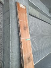 画像9: ≪未加工≫無垢一枚板 両耳 人乾材 ブラックチェリー W3090×D500~685×t55 (9)
