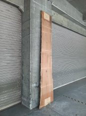 画像13: ≪未加工≫無垢一枚板 両耳 人乾材 ブラックチェリー W3090×D500~685×t55 (13)