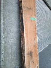 画像8: ≪未加工≫無垢一枚板 両耳 人乾材 ブラックチェリー W2740×D520~630×t55 (8)