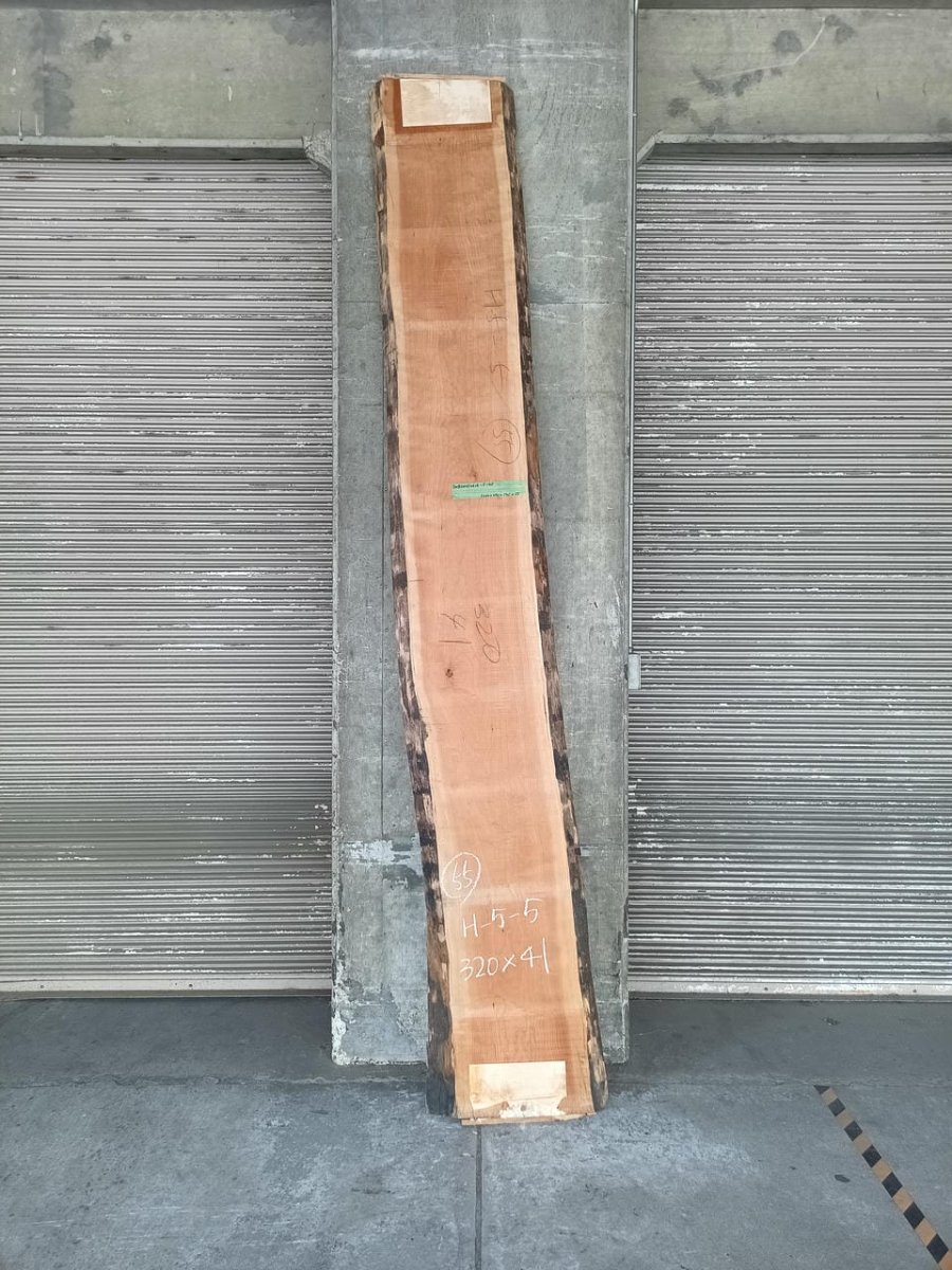 画像1: ≪未加工≫無垢一枚板 両耳 人乾材 ブラックチェリー W3220×D470~545×t55 (1)