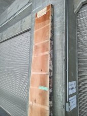画像6: ≪未加工≫無垢一枚板 両耳 人乾材 ブラックチェリー W3140×D500~630×t55 (6)