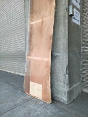 画像15: ≪未加工≫無垢一枚板 両耳 人乾材 ブラックチェリー W3140×D500~630×t55 (15)