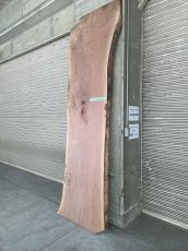 画像3: ≪未加工≫無垢一枚板  ウォールナット W3050×D780~970×t65 (3)