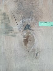 画像13: ≪未加工≫無垢一枚板  ウォールナット W3050×D780~970×t65 (13)