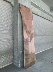 画像15: ≪未加工≫無垢一枚板  ウォールナット W3050×D780~970×t65 (15)