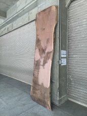 画像16: ≪未加工≫無垢一枚板  ウォールナット W3050×D780~970×t65 (16)